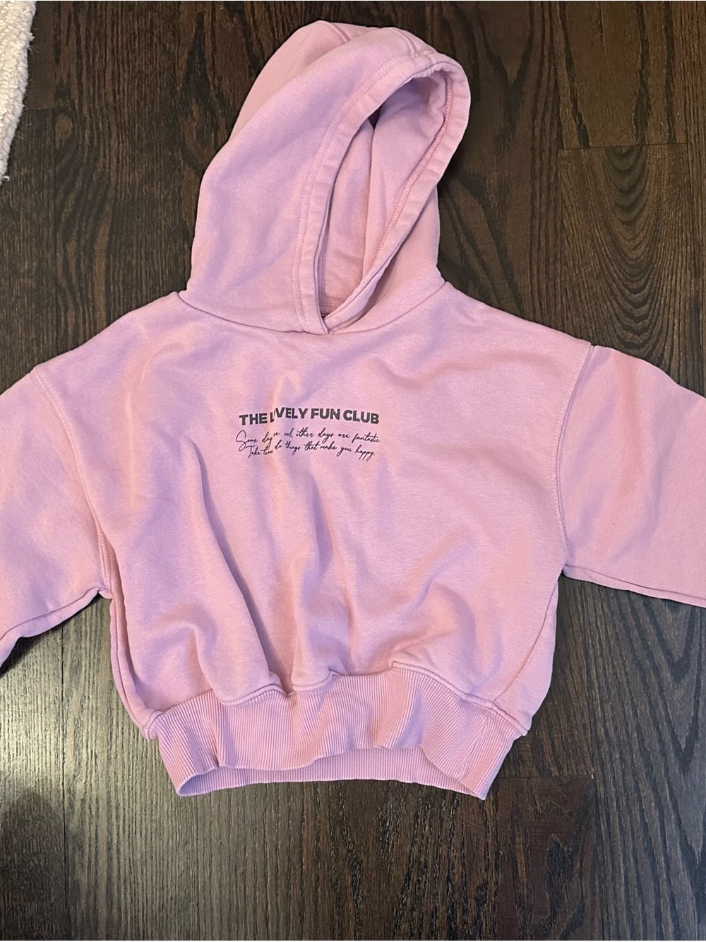 Zara Light Pink Cropped Hooded Sweatshirt with Front Text